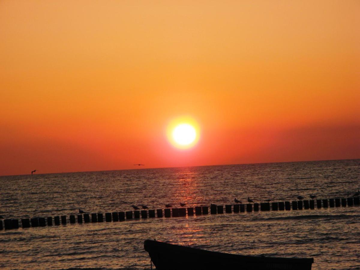 Fewo VI Villa Nicole Hafenstrasse 37 Zingst Ngoại thất bức ảnh